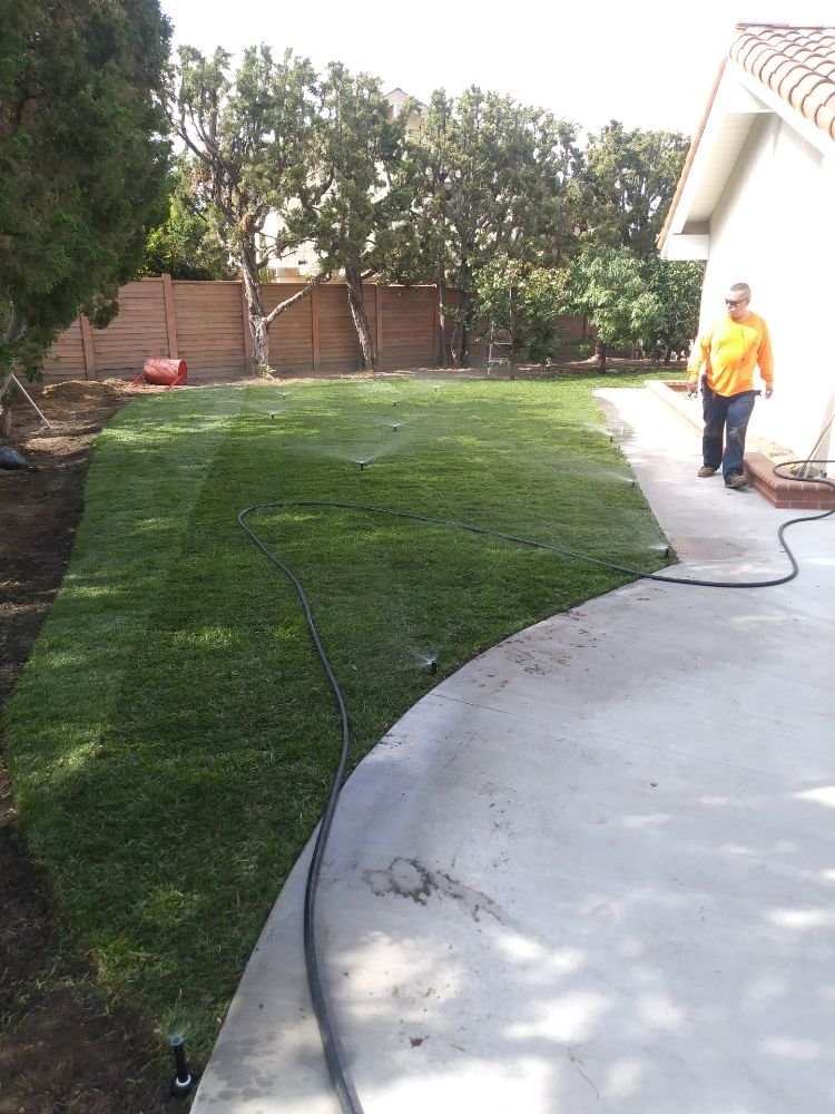 Hyde Park Under-Fence Mow Strip